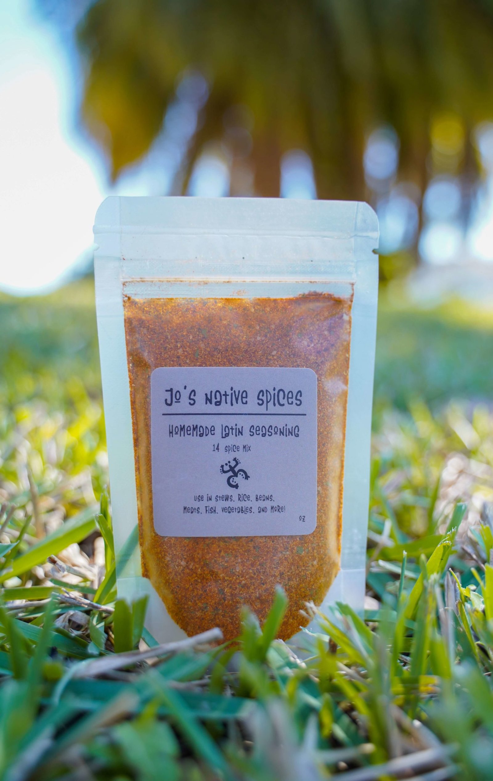 HOMEMADE LATIN SEASONING Jo s Native Spices
